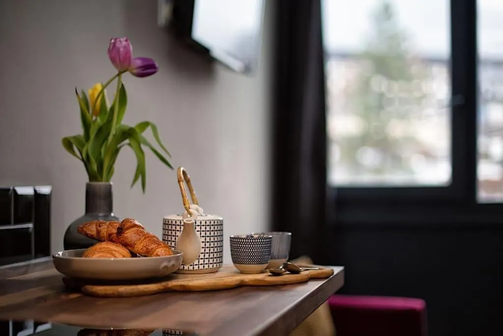 Beautiful Cosy, Modern Studio In Chamonix Centre